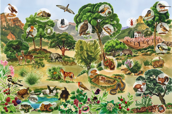 Paisaje con gran cantidad de animales y plantas.