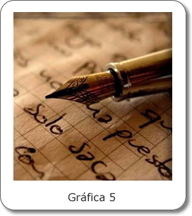 Gráfica 5