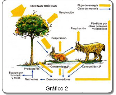 Gráfica 2