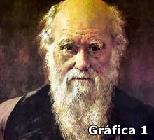 Gráfica 1